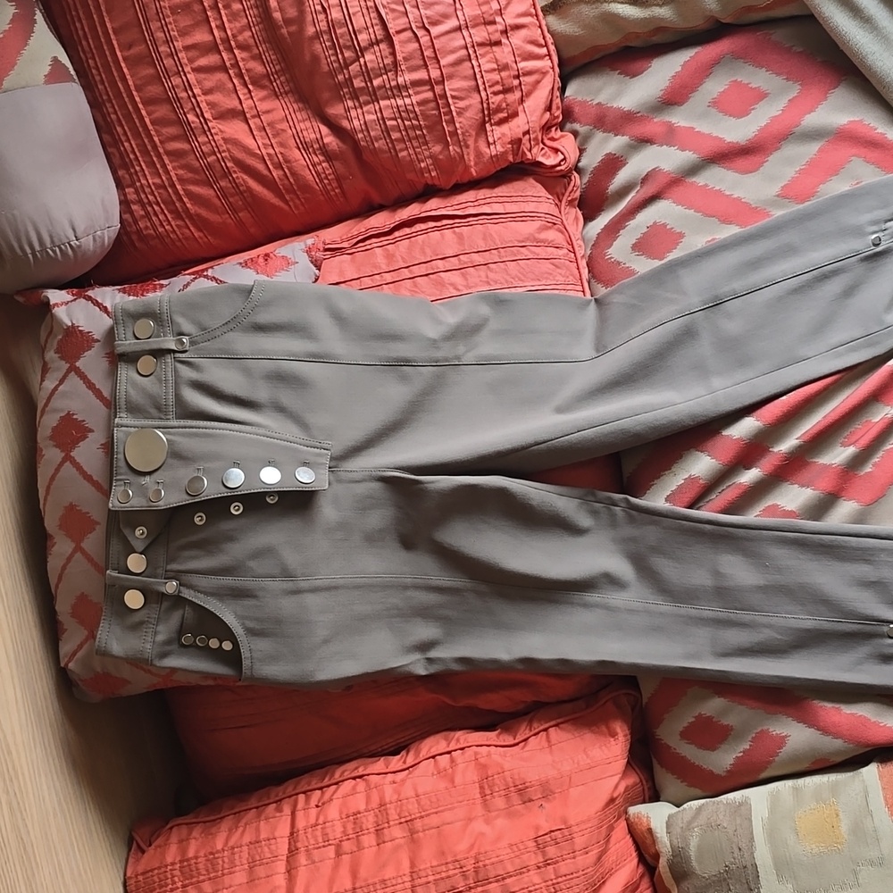 Alexander wang pants with silver buttons